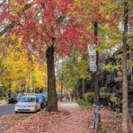 Hassan El Fad Instagram - Montreal, Quebec