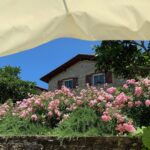 Hazar Motan Instagram -