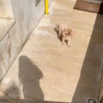 Hazar Motan Instagram -