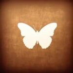 Hengame Ghaziani Instagram - I re-awoke to find myself as a child Forcing blossom before time A flashback to the annals of infinity  The deepest peace  The absolute  The unseen eternal stream  Walking between worlds Drifting dream to dream  A momentary earthly scene  The relevance of being, of sorrow, of love, and of laughter  A significant chapter in the archives of eternity  من دوباره بيدار مي شوم تا خودم را مانند كودكي بيابم كه شكوفه ها را قبل از شكوفاييشان به شكفتن وا مي دارد.  بازگشت به تاريخچه ي ابديت عميق ترين آرامش دايره ي نامحدود و مطلق جاودانه جرياني ناپيدا راه رفتن از ميان جهان ها شناور بودن از رويايي به روياي ديگر يك صحنه زمينى زودگذر رابطه ي بين وجود داشتن، اندوه، عشق، و شادي فصل قابل توجهي از بايگاني هاي ابديت آهنگساز: Duncan Patterson قطعه: The Eternity Suite Parts IV-XXIII . . فايل ويدئو در كانال
