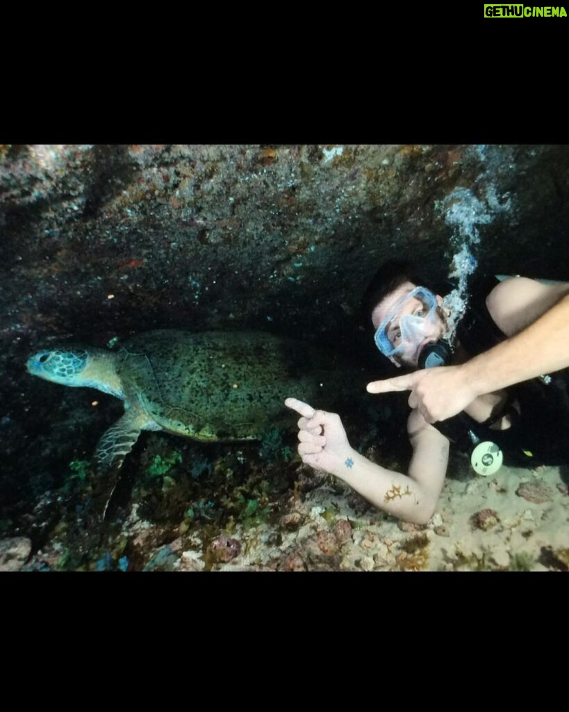 Henri Castelli Instagram - Noronha!!! Ilha mágica! Estou chegando hein!! #amonoronha❤️ https://www.instagram.com/reveillon.zemaria?igshid=NGVhN2U2NjQ0Yg== @atlantisdivers @dolphinnoronha @zemariasultanum @tucanoronha @discoveryassessoria Manhattan, New York