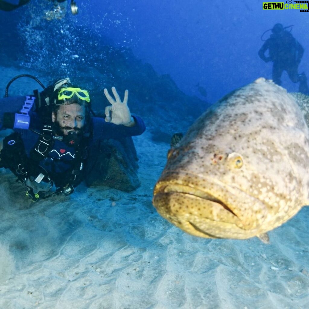 Henri Castelli Instagram - Aloooooooooo NORONHA, Tô chegando pra mergulhar e Matar a saudade dessa ilha magica!! Porque aqueles que ousam mergulhar dentro de si e navegam nas águas das emoções, descobrem um oceano de possibilidades. #partiunoronha👙💦🐠👒✈️✈️✈️✈️ Fort Lauderdale, Florida