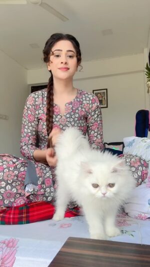 Hiba Nawab Instagram - Say Hi to snowy 2.0♥️