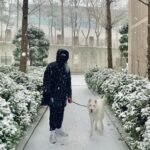 Hong Jong-hyun Instagram - merry christmas🎄
