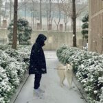 Hong Jong-hyun Instagram - merry christmas🎄