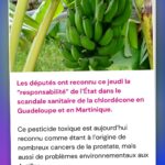 Hugo Travers Instagram - 🚨 En 1 minute, votre résumé de l’actualité du jour 🚨 . 📧 Pour suivre la newsletter : https://hugodecry.pt/newsletter . 🍿 Pour suivre l’actu culture : @hugodecrypte.pop . 🏋️ Pour suivre l’actu sport : @hugodecrypte.sport . SHOUTOUT à @le_traminot-nanceien et @gaspard_nk pour leur participation au débat ! . Tous les jours, on met en avant deux participants du débat. Pour participer : like + débat En commentaire. . L’État doit-il plus limiter l’usage des pesticides en France ? 🧐 . Commentez oui/non/sans opinion suivie de vos éventuels arguments, résultats dans l’édition de demain ! . Couverture : ©ayanakamura_officiel Actu 1 : © Abaca I Le Monde, Challenges, 20 Minutes Actu 2 : © Abaca I TF1 Info, BFMTV, Le Parisien Actu 3 : © Abaca I Ouest-France, BFMTV Actu 4 : Ouest-France, Libération Actu 5 : ©ayanakamura_officiel I Franceinfo, L’Express, 20 Minutes