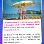 Hugo Travers Instagram - 🚨 En 1 minute, votre résumé de l’actualité du jour 🚨 . 📧 Pour suivre la newsletter : https://hugodecry.pt/newsletter . 🍿 Pour suivre l’actu culture : @hugodecrypte.pop . 🏋️ Pour suivre l’actu sport : @hugodecrypte.sport . SHOUTOUT à @o_o3105 et @razz_ya pour leur participation au débat ! . Tous les jours, on met en avant deux participants du débat. Pour participer : like + débat En commentaire. . Seriez-vous prêt à arrêter de consommer de la viande ? 🧐 . Commentez oui/non/sans opinion suivie de vos éventuels arguments, résultats dans l’édition de demain ! . Cover : ©Abaca Actu 1 : ©Abaca | France Info, l’Express, RFI Actu 2 : Ouest France, Météo-France, Actu.fr Actu 3 : ©Abaca I Le Monde, RFI, Le Figaro Actu 4 : ©Abaca I Le Parisien, La Provence, France 3 Actu 5 : ©Yonsei University I Libération, 20 Minutes, BFM
