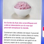 Hugo Travers Instagram - 🚨 En 1 minute, votre résumé de l’actualité du jour 🚨 . 📧 Pour suivre la newsletter : https://hugodecry.pt/newsletter . 🍿 Pour suivre l’actu culture : @hugodecrypte.pop . 🏋️ Pour suivre l’actu sport : @hugodecrypte.sport . SHOUTOUT à @o_o3105 et @razz_ya pour leur participation au débat ! . Tous les jours, on met en avant deux participants du débat. Pour participer : like + débat En commentaire. . Seriez-vous prêt à arrêter de consommer de la viande ? 🧐 . Commentez oui/non/sans opinion suivie de vos éventuels arguments, résultats dans l’édition de demain ! . Cover : ©Abaca Actu 1 : ©Abaca | France Info, l’Express, RFI Actu 2 : Ouest France, Météo-France, Actu.fr Actu 3 : ©Abaca I Le Monde, RFI, Le Figaro Actu 4 : ©Abaca I Le Parisien, La Provence, France 3 Actu 5 : ©Yonsei University I Libération, 20 Minutes, BFM