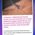 Hugo Travers Instagram - 🚨 En 1 minute, votre résumé de l’actualité du jour 🚨 . 📧 Pour suivre la newsletter : https://hugodecry.pt/newsletter . 🍿 Pour suivre l’actu culture : @hugodecrypte.pop . 🏋️ Pour suivre l’actu sport : @hugodecrypte.sport . SHOUTOUT à @magc.merel et @guiguiprrr pour leur participation au débat ! . Tous les jours, on met en avant deux participants du débat. Pour participer : like + débat En commentaire. . La France est-elle assez protégée contre les ingérences numériques étrangères ? 🧐 . Commentez oui/non/sans opinion suivie de vos éventuels arguments, résultats dans l’édition de demain ! . Couverture I ©Abaca Actu 1 : ©Abaca I TF1 Infos, Le Monde Actu 2 : ©Abaca I Ouest-France, LCP Assemblée nationale Actu 3 : ©Abaca I Franceinfo Actu 4 : ©Abaca I Franceinfo Actu 5 : ©Abaca I CNN