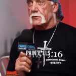 Hulk Hogan Instagram - When it comes to pain management, I turned to these Remedies because it offered me a natural path to healing rather than the slippery slope of prescriptions. It’s about choosing a healthier way. That’s why I helped create my very own line, @immortalbyhulkhogan 🌿💪 HulkHoganStore.Com Thanks for having me @chrisvanvliet