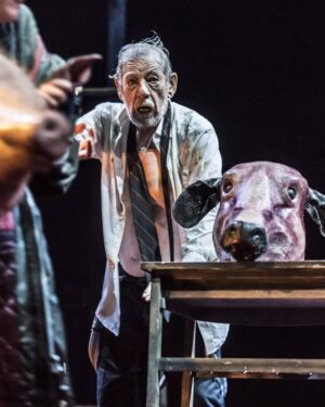 Ian McKellen Instagram - King Lear 2018