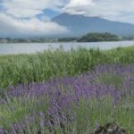 Iko Uwais Instagram – the mighty beautiful 🗻 Fuji ❤️🇯🇵 Kirey😍 #theuwais👨‍👩‍👧‍👧 #theuwaisjapantrip #mountfujijapan Fuji Mountain, Japan
