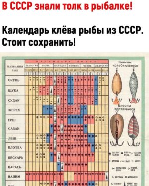 Ilya Tank Shilov Instagram - Эх, сейчас бы взять удочку, сесть на УАЗик и поехать на рыбалку. Взять с собой друзей, палатку, мобильную кухню, портативный душ, туалет, электрогенератор и музыкальные колонки. Закутить нереальную тусовку и пригласить клёвых подруг.