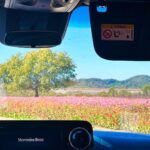 Im Soo-hyang Instagram - 여기 어디야.. 천국인가요🌷