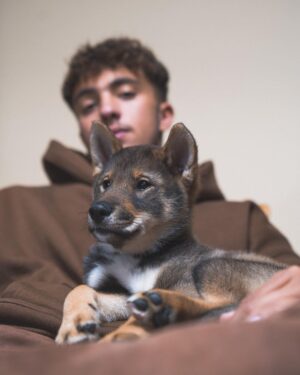 Ines Benazzouz Instagram - Bienvenu mon pote 🐕🤍
The Ace.

🐕 @lovetheace 
📸 @alexipav 
👕 @___rrxii