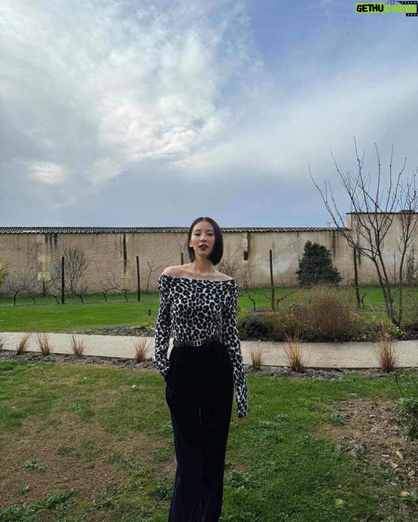 Irene Kim Instagram - my backyard is a chateau at the moment🌹 Hôtel Chais Monnet & Spa