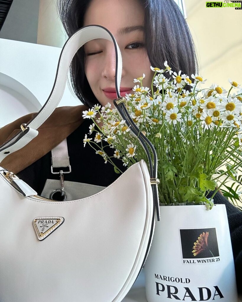 Irene Kim Instagram - Today I’m visiting the #PradaFW23 Kiosk in Jongro, Seoul. Flowers are the protagonists of the new @prada FW23 Campaign and a series of special initiatives that Prada is revealing in select international cities from September 14 to 16, 2023. 종로, 성수, 강남 까치화방에서 만나요!💐 @prada #PradaFW23 #adv 까치화방 종로타워