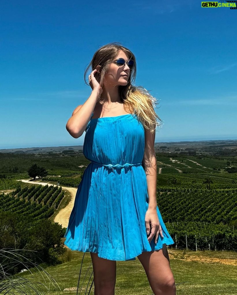 Isabella Santoni Instagram - Visitando um dos mais tradicionais vinhedos do Uruguai. @bodegagarzon tem um dos meus rosés preferidos, produzidos a partir da uva Pinot Noir! ✨💓🍇 Bodega Garzón
