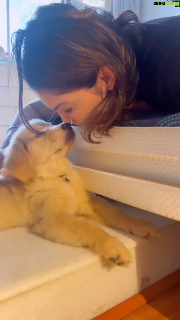 Isha Koppikar Instagram - My daily dose of happiness ❤️ #boomerang #love #candid #cutie #dogsofinstagram #dogstagram #doglover