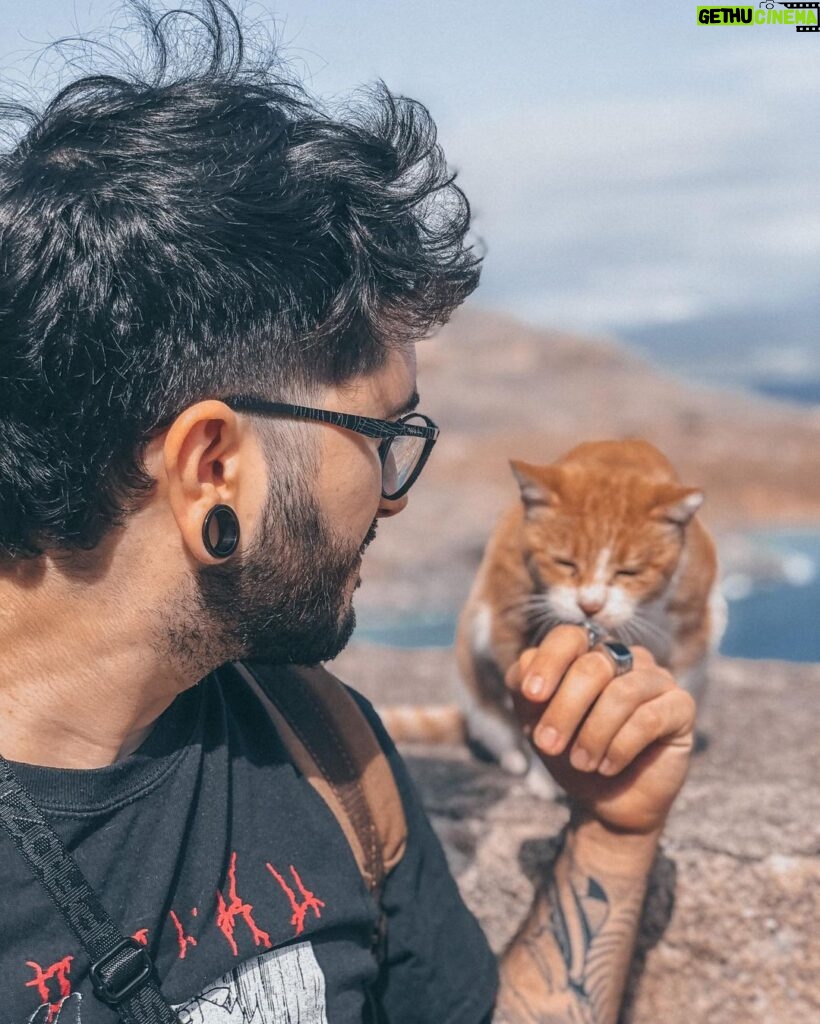 Ismael Prego Instagram - Os echo mucho de menos gatitos griegos 😢