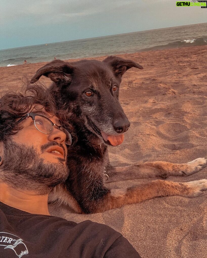 Ismael Prego Instagram - Perrito en la playa