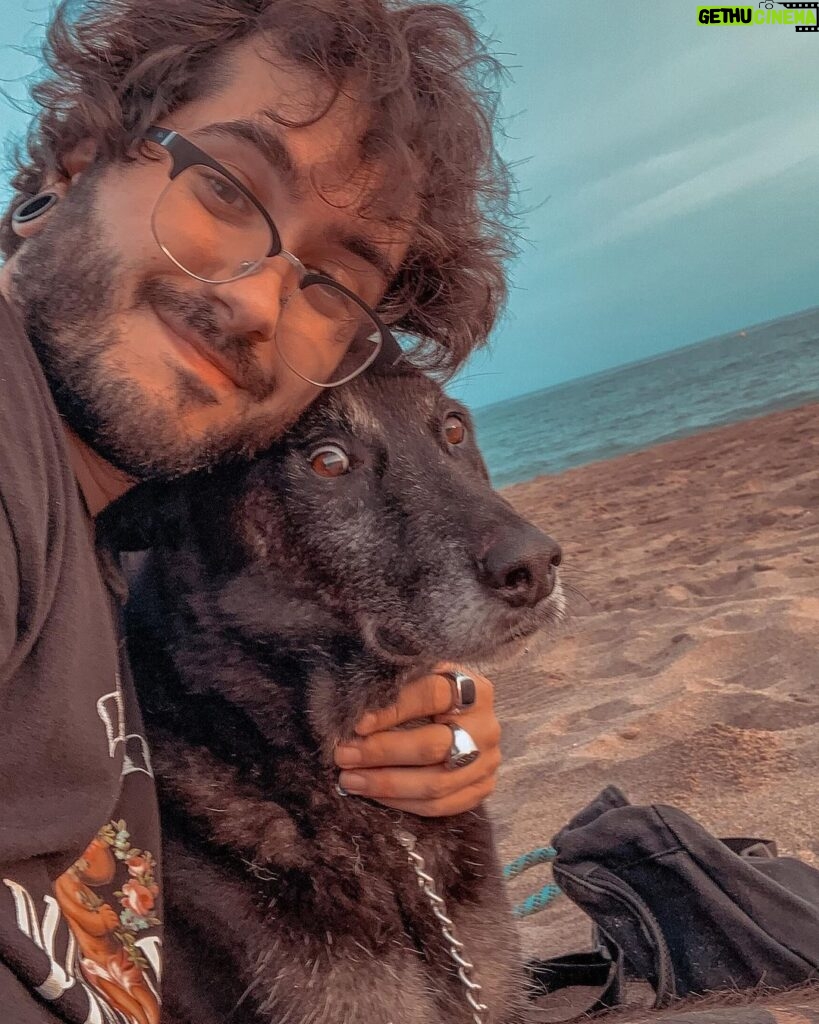 Ismael Prego Instagram - Perrito en la playa