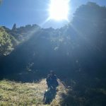 Isyana Sarasvati Instagram - Selesai sudah residensi singkat Inyo, hosted by @rarasekar & @benlaksana 😭🌹🌱🥳😢 Selalu benci karena setiap pertemuan pasti ada perpisahan. Nanti aku balik lagi ya lebih lama supaya bisa semakin banyak belajar berkehidupan dan mengalami dunia. Terima kasih atas jamuan dan bekal-bekal kehidupanna, love you guys piu!🤍😭🌍🍅 #sambilnangisdipesawat fak kt gua teh Wellington, New Zealand