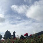 Isyana Sarasvati Instagram - Salah satu caraku menyayangi diriku. Strolling around beautiful places, all by myself. Menikmati sembari kembali mendekatkan diri dengan alam dan teman-temannya 🤍 Wellington, New Zealand