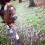 Ivanka Trump Instagram - horsing around 🐎♥️🐎