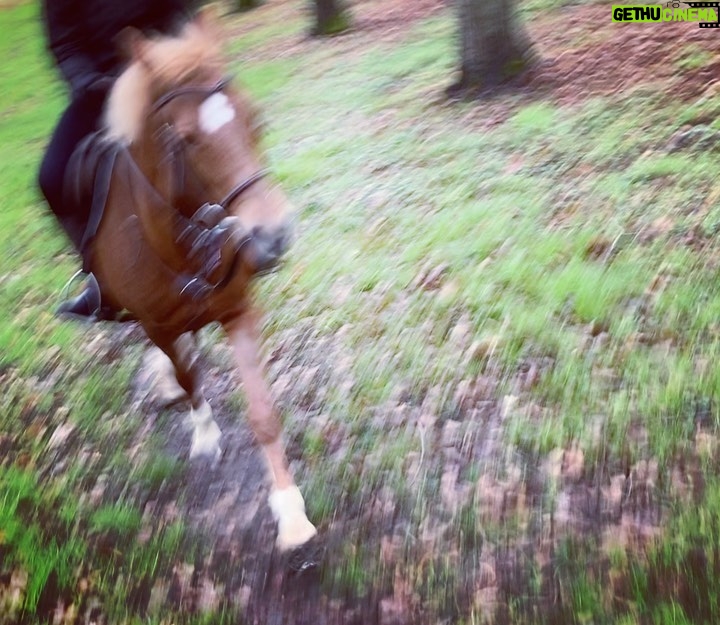 Ivanka Trump Instagram - horsing around 🐎♥️🐎
