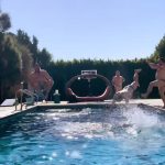 Jack Black Instagram - Infini-canno-bal-loop 📹 @taylorstephens