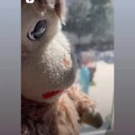 Jack Black Instagram -