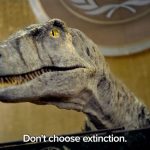 Jack Black Instagram - Don’t choose extinction! @unitednations