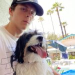 Jacob Bertrand Instagram - “Might stance baby.” Said Silas as he feverishly snagged a D6 and D8, rolling without hesitation. Whilst sporting my freshly stolen limited edition ray bans, phil could only sit and watch as he rolled two 1s for his defense. A double fail. With imminent peril looming over our young self proclaimed main character’s head, he sat back, took a burly swig of his diet coke, and exclaimed, “ …. a h f u c k o k a y ….” Past few weekeses. Pleasantville