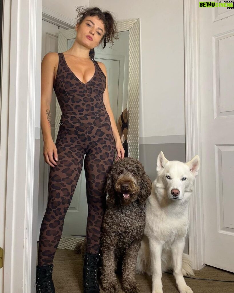 Jade Chynoweth Instagram - Just a leopard and her dogs 🐆