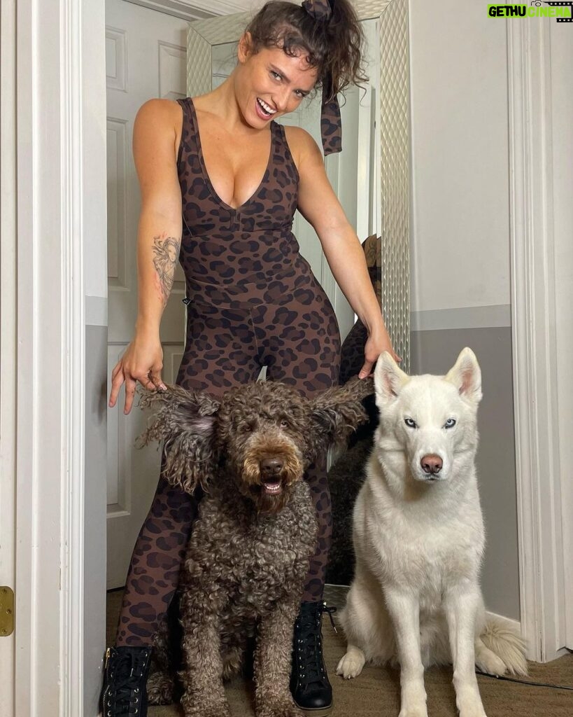 Jade Chynoweth Instagram - Just a leopard and her dogs 🐆