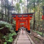 Jade Chynoweth Instagram - Dream World 🇯🇵 🌿 Japan
