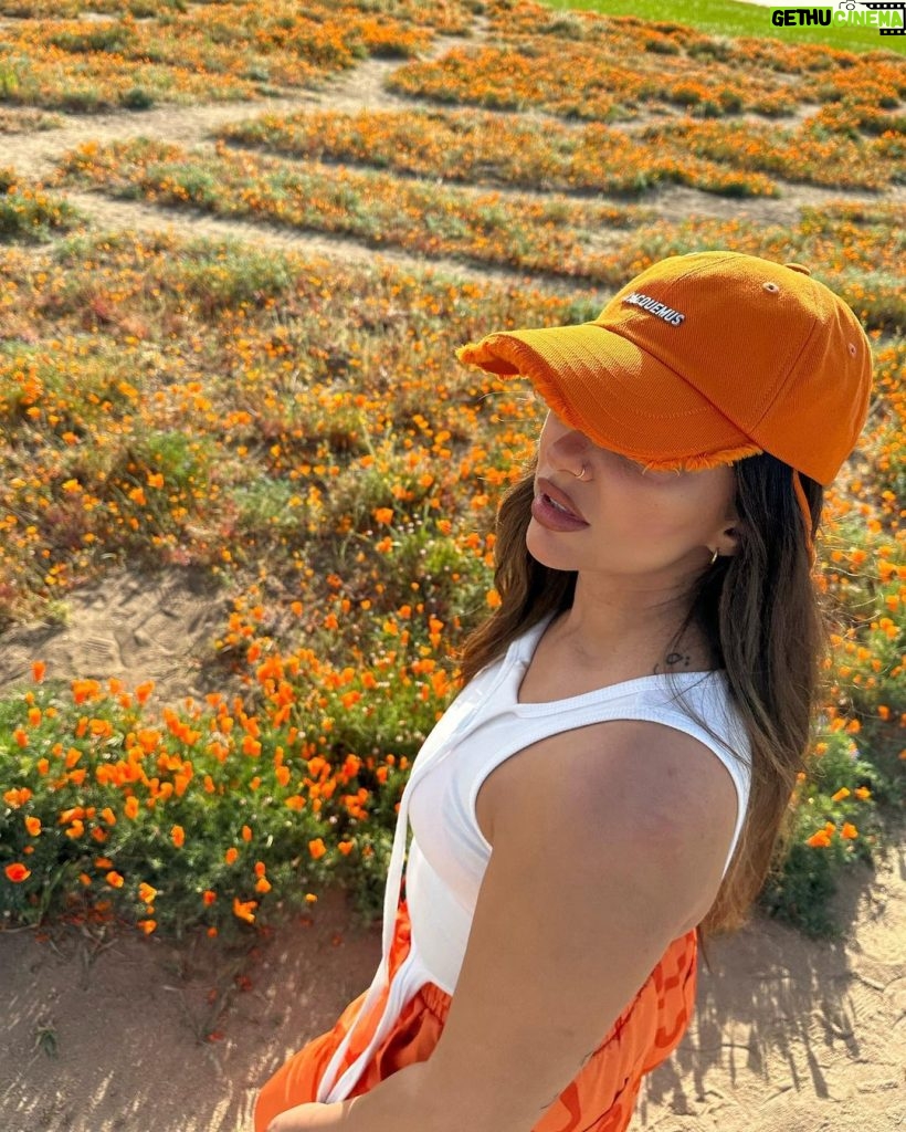 Jade Thirlwall Instagram - pop girl in a poppy world