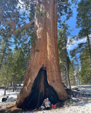 Jaime Camil Instagram - Always nice to see you big guy ❤️😍 #Sequoia @kingscanyonnationalpark @heidibal DDD-TAT