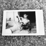 Jake T. Austin Instagram - Happy #nationaldogday 🐶 Los Angeles, California