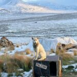 James Gunn Instagram - Friends are everywhere. Svalbard,Norway