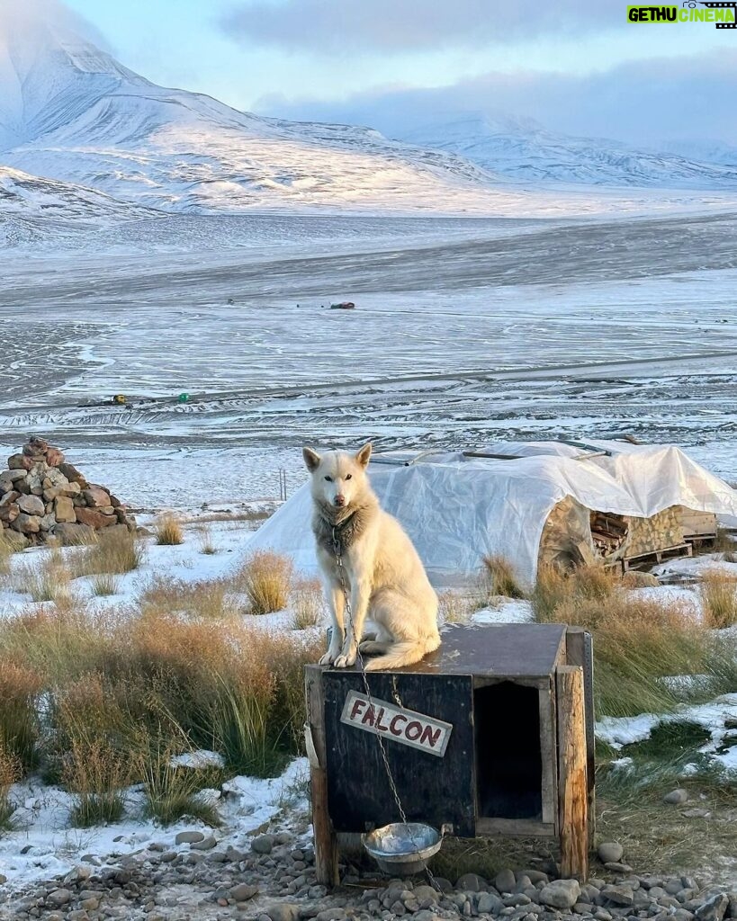 James Gunn Instagram - Friends are everywhere. Svalbard,Norway