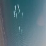 James Gunn Instagram - Beautiful beluga whales from a helicopter in #Svalbard, Norway. Thanks to the wonderful people of Svalbard for their kindness and help filming there this week! I’m grateful for this stunning location and its wonderful people. 🙏 #FortressofGratitude
