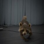 James Gunn Instagram - Congrats to the #GuardiansoftheGalaxy Vol 3 #VFX team who have made the shortlist for the #Oscars! @stefceretti @theacademy ❤️