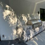James Gunn Instagram - Solar eclipse shadows in my backyard right now. #solareclipse
