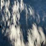 James Gunn Instagram - Solar eclipse shadows in my backyard right now. #solareclipse