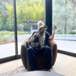 James Gunn Instagram - Portrait.