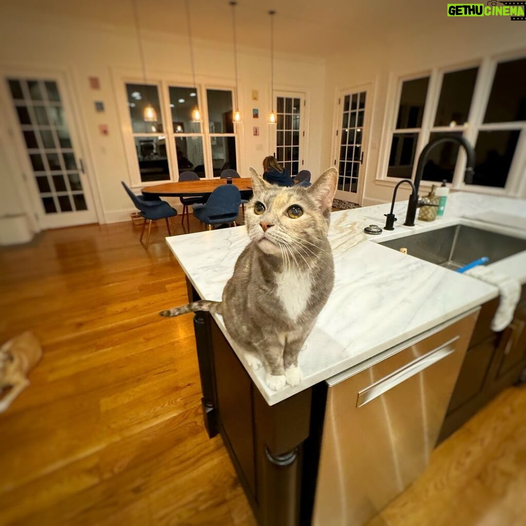 James Gunn Instagram - Happy #Caturday from me & #Emilymonster. #cat #cats #catsofinstagram