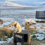 James Gunn Instagram – Friends are everywhere. Svalbard,Norway