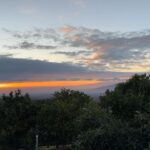James Gunn Instagram - One of the best days of the year came at the very end for me. A wonderful evening of healthy farm-to-table food at the incredible @mauibeeshoney in Maui. And I made a new close friend, Winnifred, farm dog extraordinaire who hung out with us for the night. If you are in Maui I highly, highly recommend.